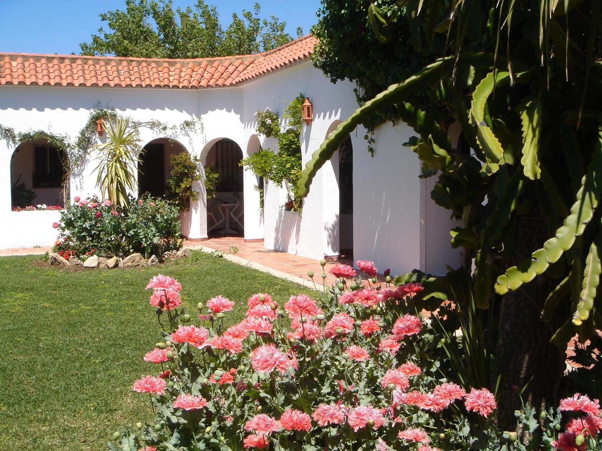 Hostal El Capi زاهورا المظهر الخارجي الصورة