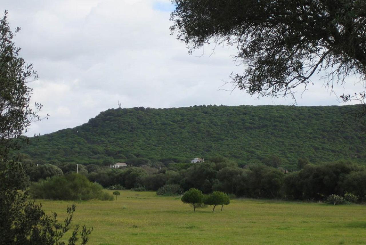 Hostal El Capi زاهورا المظهر الخارجي الصورة