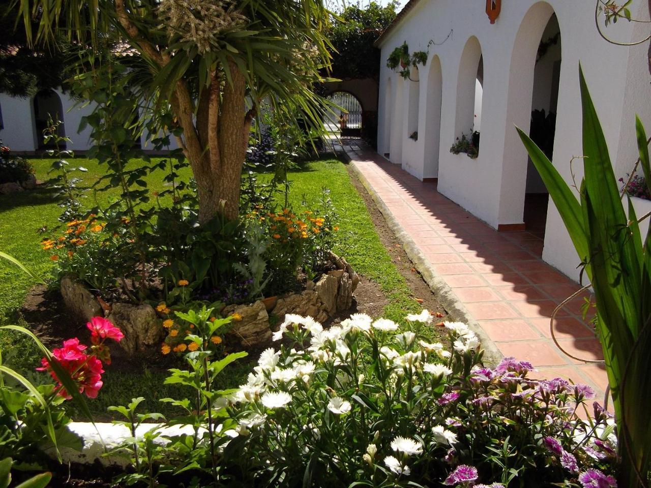 Hostal El Capi زاهورا المظهر الخارجي الصورة